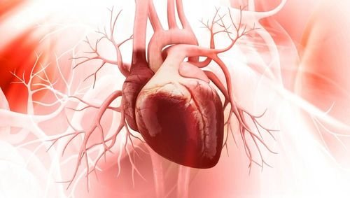 Koppling mellan prediabetes och hjärt- och kärlsjukdomar