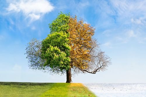 Hur årstiderna påverkar dina värden - skillnader mellan augusti och mars