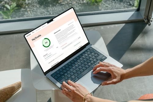 Så tolkar du ditt blodstatus – en guide till Hb, ferritin och andra blodvärden